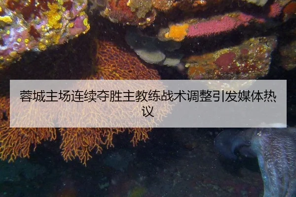 rong-cheng-zhu-chang-lian-xu-duo-sheng-zhu-jiao-lian-zhan-shu-tiao-zheng-yin-fa-mei-ti-re-yi-2-636.jpg